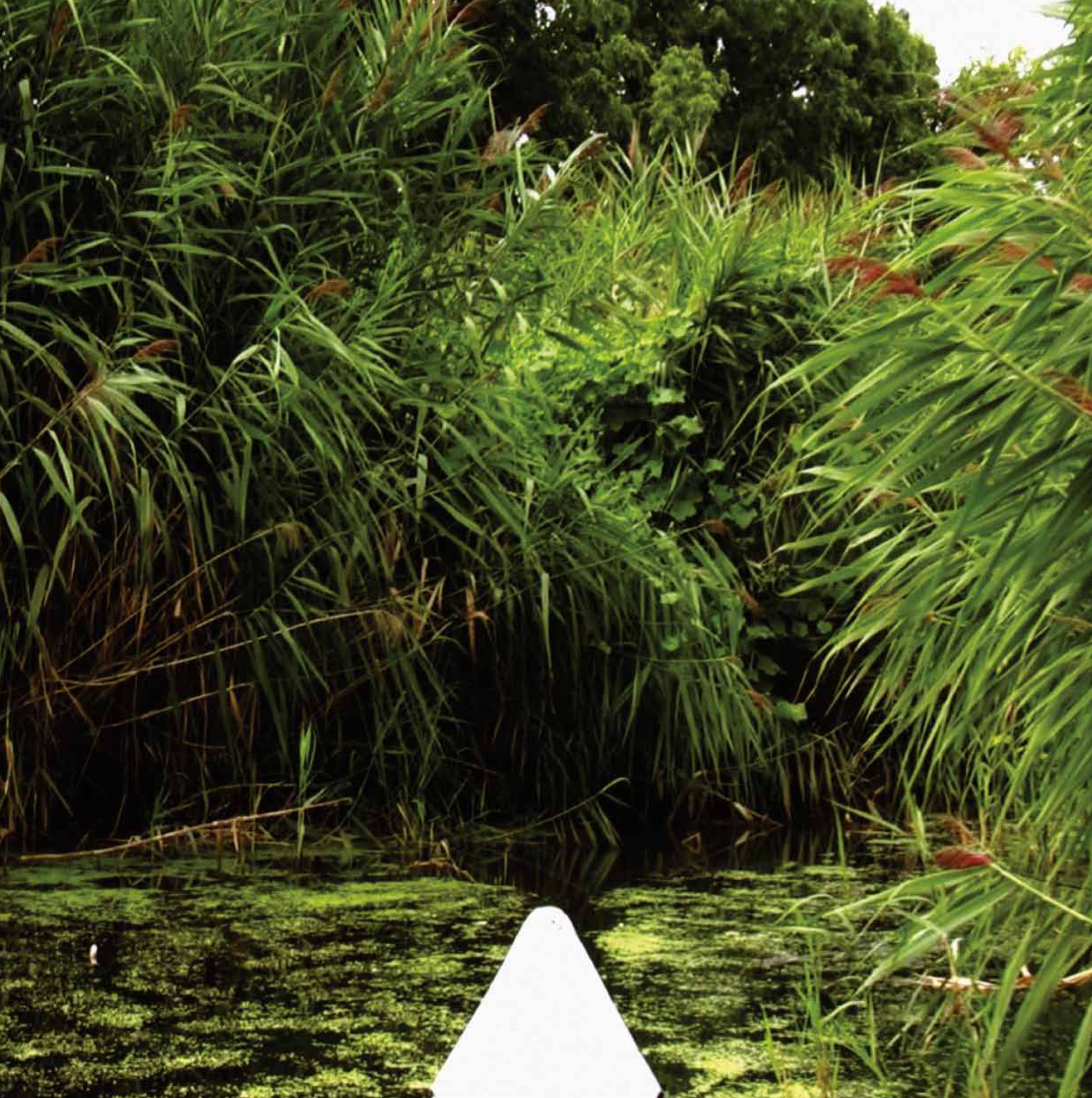 Dan Peterman | Waterways
