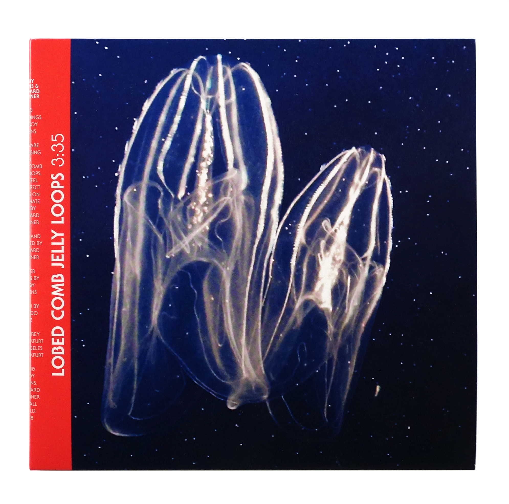 LeRoy Stevens & Bernhard Schreiner | Lobed Comb Jelly Loops | Fortunate Isles